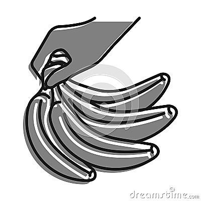Linear icon, female hand takes bunch of sweet ripe bananas. Harvesting tropical fruits. Simple black and white vector isolated on Vector Illustration