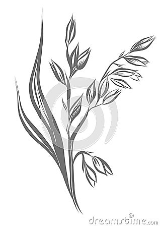 Linear illustration of oat (Avena sativa) Cartoon Illustration