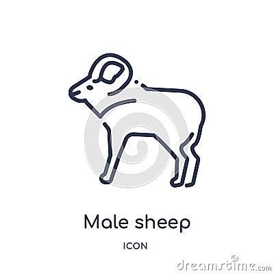 Linear male sheep icon from Animals outline collection. Thin line male sheep icon isolated on white background. male sheep trendy Vector Illustration