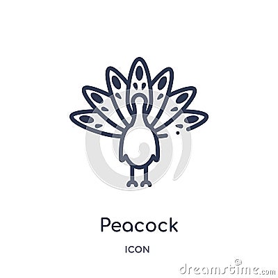 Linear peacock icon from India and holi outline collection. Thin line peacock icon isolated on white background. peacock trendy Vector Illustration