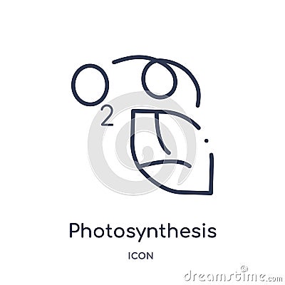 Linear photosynthesis icon from Education outline collection. Thin line photosynthesis vector isolated on white background. Vector Illustration
