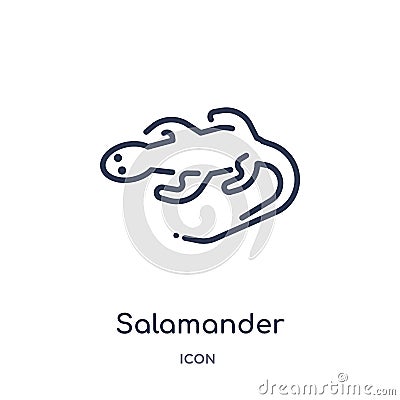 Linear salamander icon from Animals outline collection. Thin line salamander icon isolated on white background. salamander trendy Vector Illustration