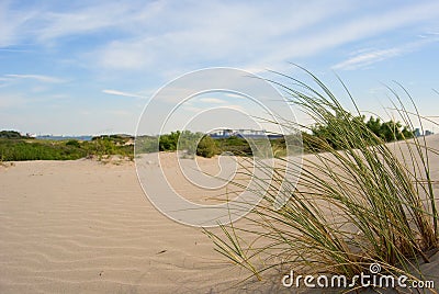 Linear shape dunes and detail of grass, sandy beach Hoek van Holland Stock Photo