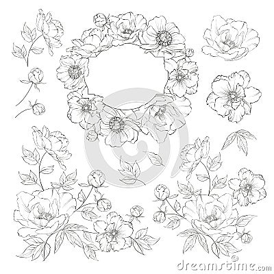 Linear style set of white poppy, hand drawn contour illustration of flowers isolated on a white background. White Vector Illustration