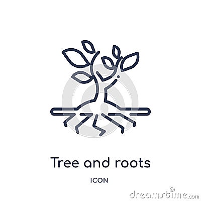 Linear tree and roots icon from Ecology outline collection. Thin line tree and roots vector isolated on white background. tree and Vector Illustration