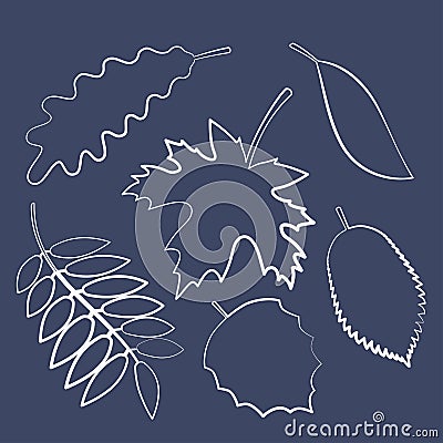 contours of the leaves of a tree, autumn leaves Vector Illustration