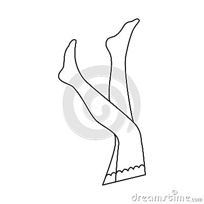 linear woman stockings Vector Illustration