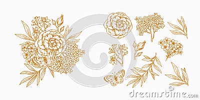 Lineart floral elements collection. Spring floral composition. Vector Illustration