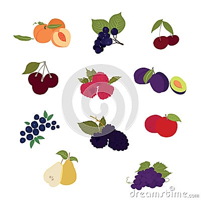 Flat design, colourfully set of fruit icons. Vector Illustration
