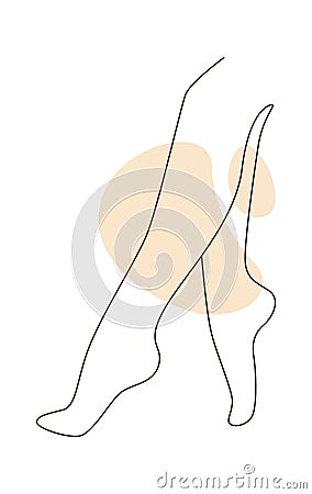 Lined Female Legs Vector Illustration
