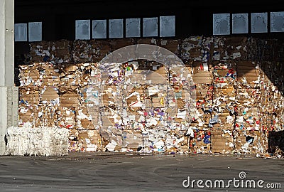 Lined up stacks of cardboard and waste paper in a recycling plant storage Stock Photo