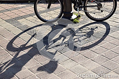 The lines and shadows on concrete of bicicle Stock Photo