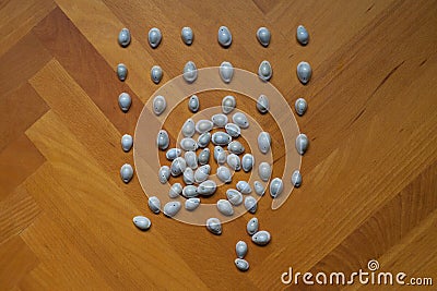 Lines shell shells blue white grey brown wooden floor Stock Photo