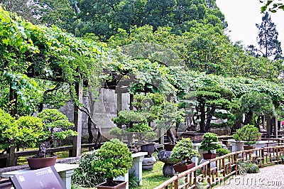 Lingering Garden bonsai Stock Photo