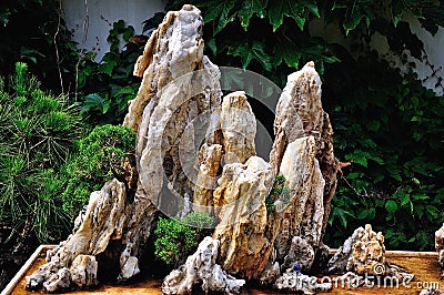 Lingering Garden bonsai Stock Photo