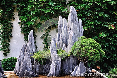 Lingering Garden bonsai Stock Photo