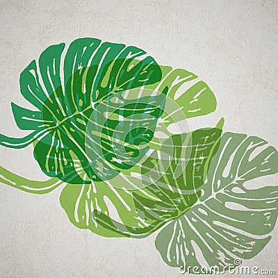 Linocut tropical Monstera leaves on background Stock Photo