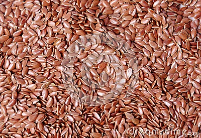 Linseed Stock Photo