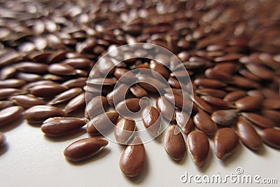 Linseed Stock Photo