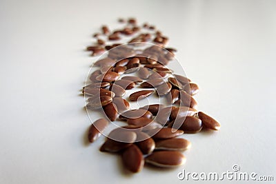 Linseed Stock Photo