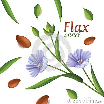 Linseed oil, flaxseed and flowers vector illustration Vector Illustration