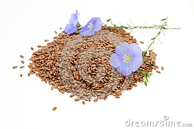 Linum usitatissimum L Stock Photo