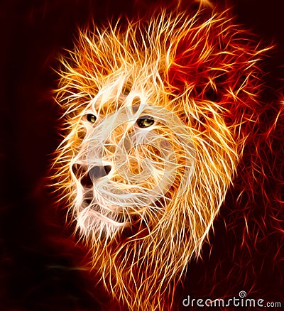 Lion Stock Photo