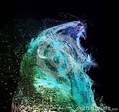 Lion Abstract Water Splash Stock Illustration - Image: 42157490