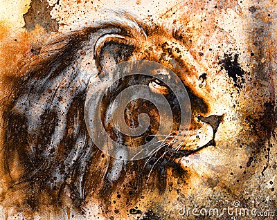 Lion collage on color abstract background, rust structure, wildlife animals. Stock Photo