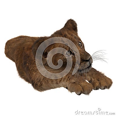 Lion cub lying down in playful pose Stock Photo