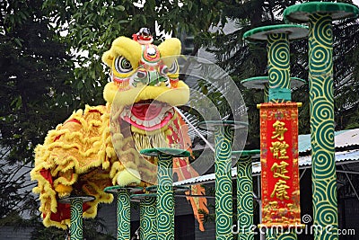 Lion Dance is one of traditional parts of chinese martial arts. Stock Photo