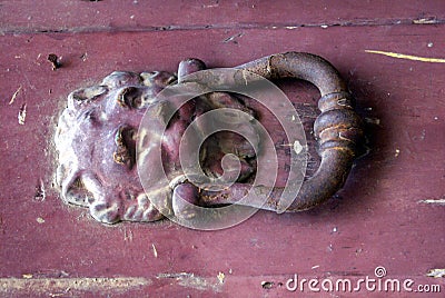 Lion door knocker Stock Photo