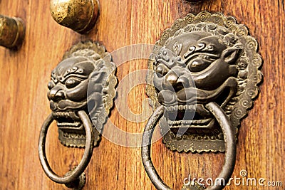 Lion dragon door accent Stock Photo