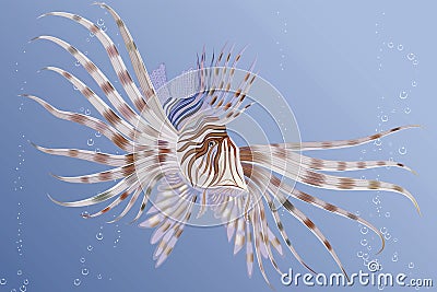 Lion fish Vector Illustration