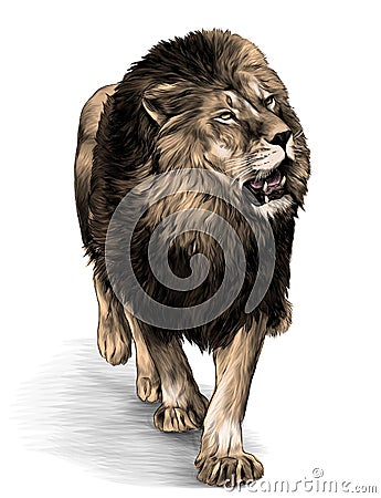 Lion in full growth goes Vector Illustration