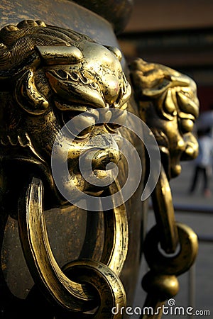 Lion head... Stock Photo