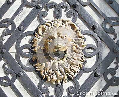 Lion head Stock Photo