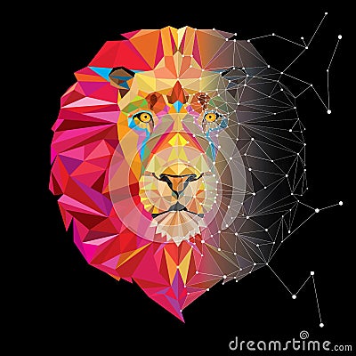 Lion head in geometric pattern with star line Vector Illustration