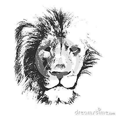 Lion head. hand drawn. vector illustration Vector Illustration