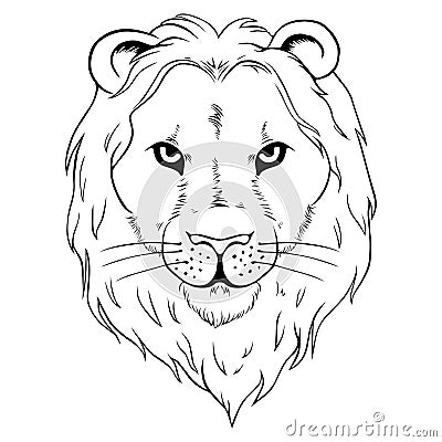 Lion Vector Illustration