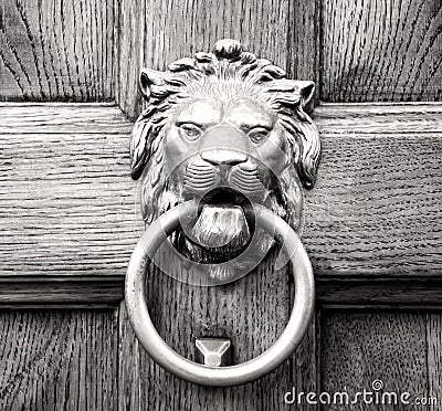 Lion head knocker on an old wooden door Stock Photo