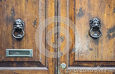 Lion head knockers on an old wooden door Stock Photo