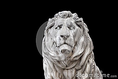 Lion head munich Stock Photo