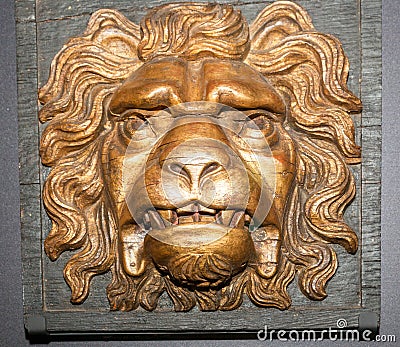 Lion head Stock Photo