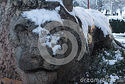 Lion of Ifrane Stock Photo