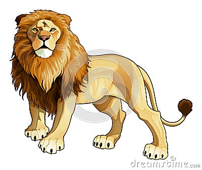 Lion king. Vector Illustration