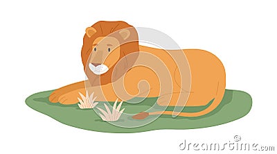 Lion, king animal relaxing on grass. Wild feline with mane lying. Jungle habitant. African tropical carnivore. Flat Vector Illustration