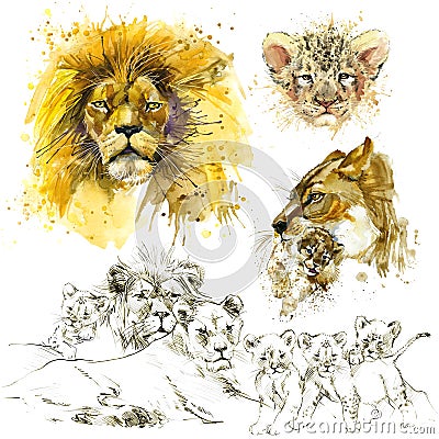 Lion. Lion pride illustration watercolor Cartoon Illustration