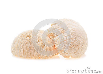 Lion mane mushroom isolated on white background Stock Photo