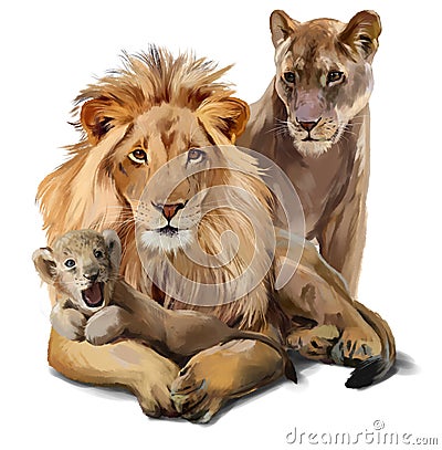 Lion pride Stock Photo